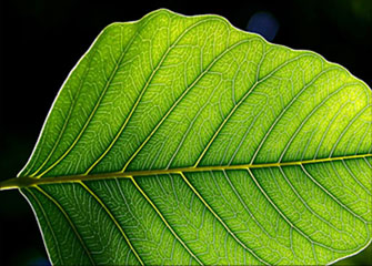 软件市场可靠的在线DDOS攻击平台